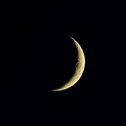 CIELOS NOCTURNOS